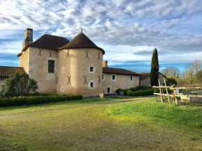 Wonderful atmospheric Manoir at Lenclo tre with large private swimming pool, Lencloître